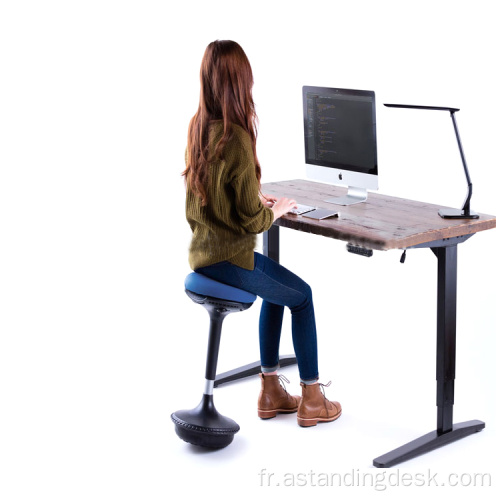 Amazon Hot Vender Office Furniture Adjuble Wobble Chair